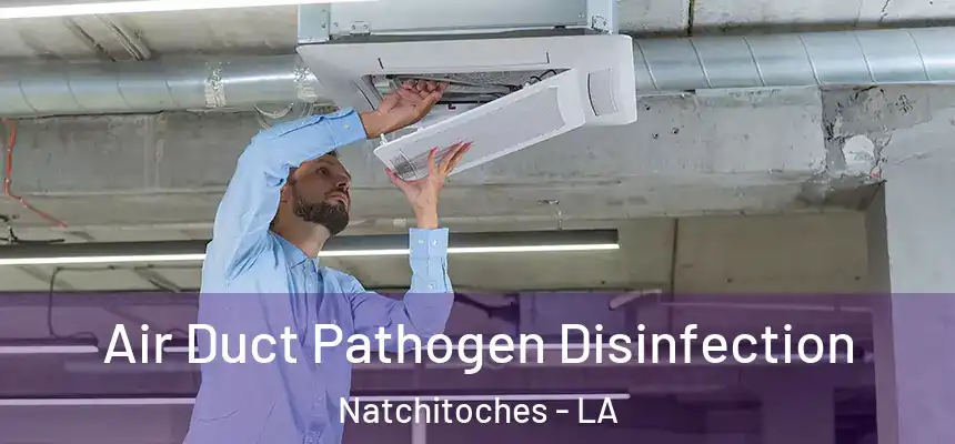  Air Duct Pathogen Disinfection Natchitoches - LA