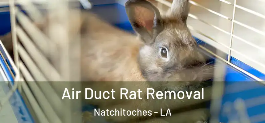  Air Duct Rat Removal Natchitoches - LA