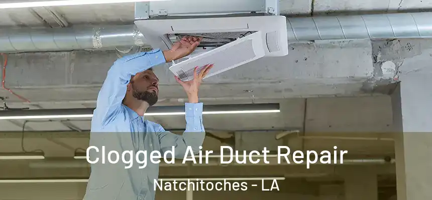  Clogged Air Duct Repair Natchitoches - LA