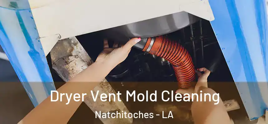  Dryer Vent Mold Cleaning Natchitoches - LA