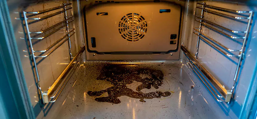 Our Dryer Vent Mold Cleaning Services in Natchitoches, LA