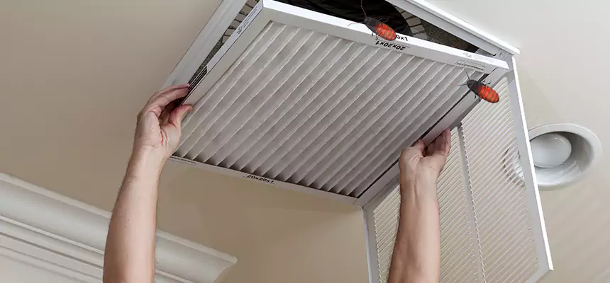 Our Insect Removal from Air Ducts Services in Natchitoches, LA