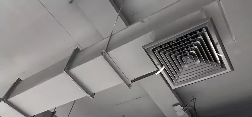 Our Rodent Droppings In Vents Services in Natchitoches, LA