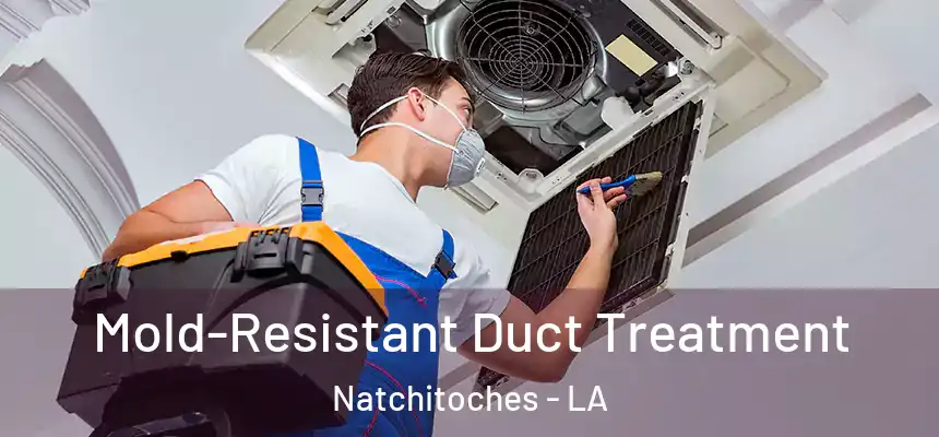  Mold-Resistant Duct Treatment Natchitoches - LA