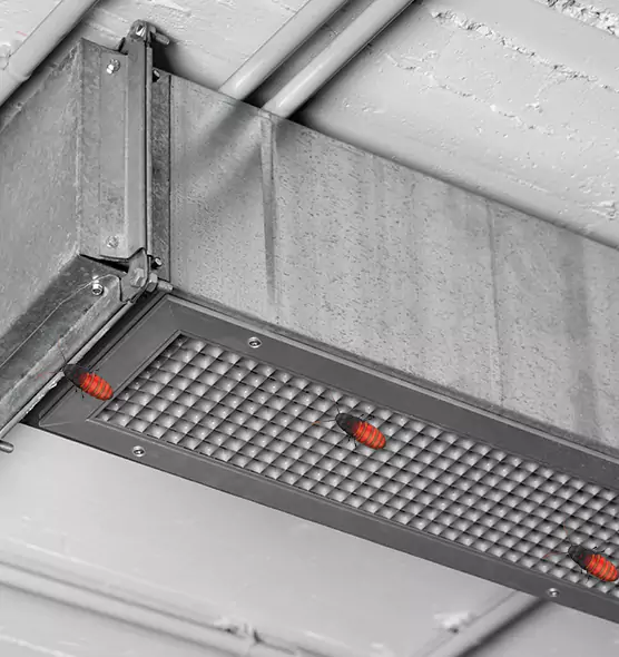 About Air Duct Cockroach Removal in Natchitoches, LA