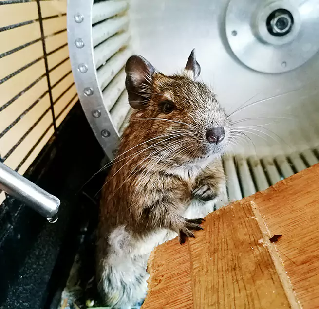 Why Homeowners & Businesses Trust Us Natchitoches, LA?