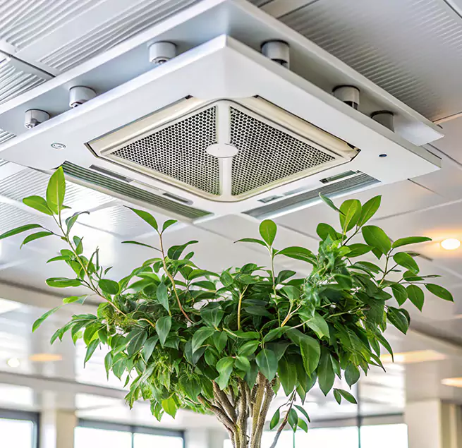 Why Homeowners & Businesses Trust Us in Natchitoches, LA