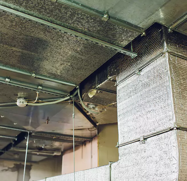 Why Homeowners & Businesses Trust Us in Natchitoches, LA?